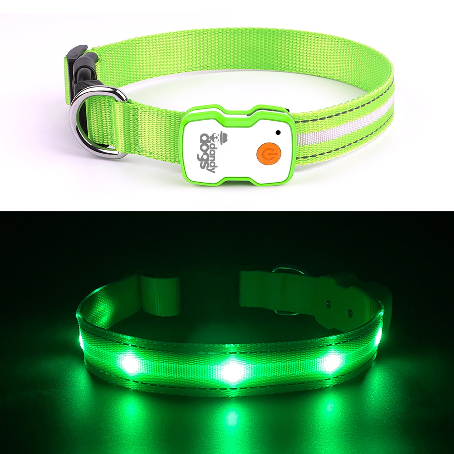 Collier lumineux rechargeable Dandy Dogs "GLOW"