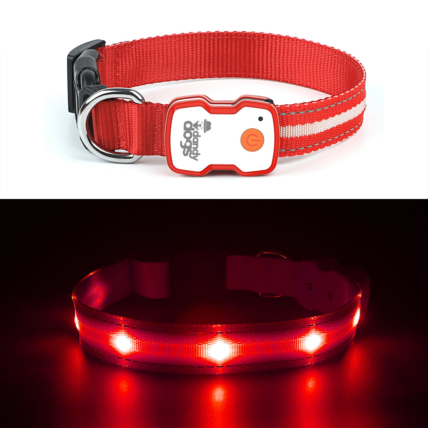 Collier lumineux rechargeable Dandy Dogs "GLOW"