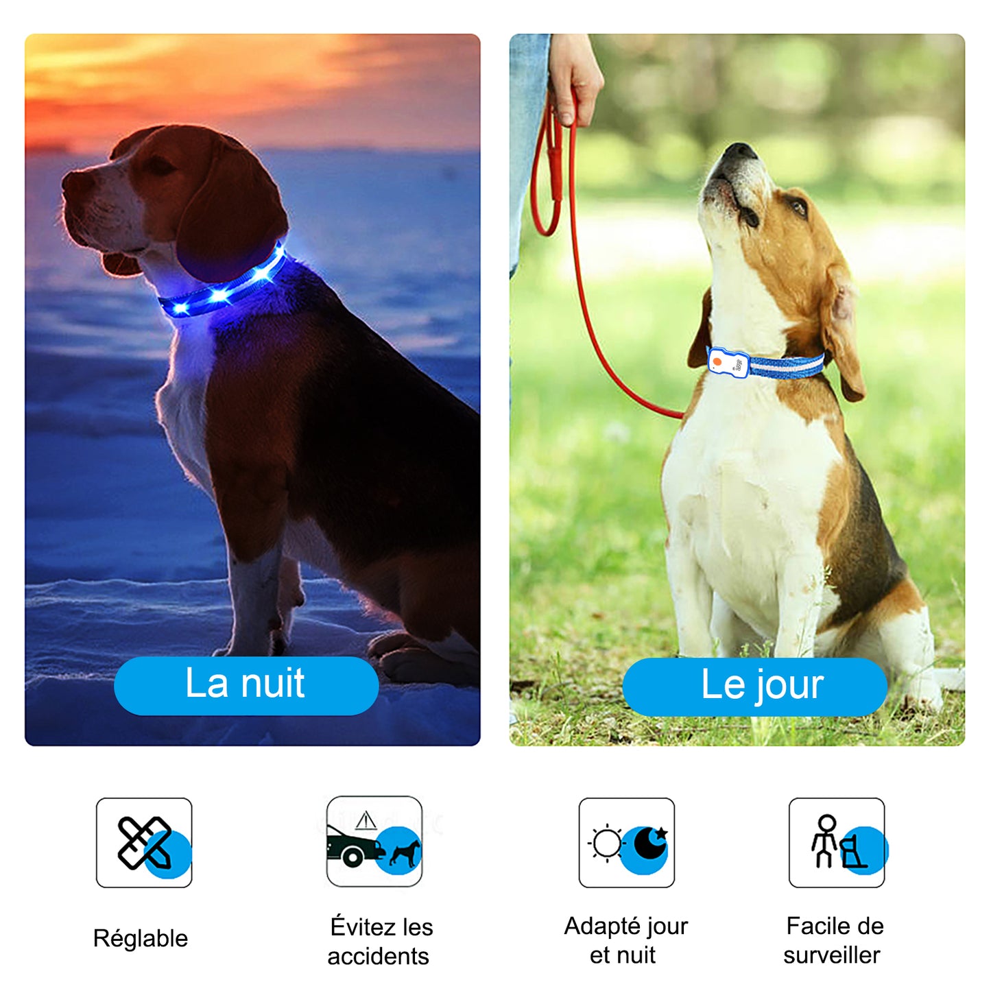 Collier lumineux rechargeable Dandy Dogs "GLOW"