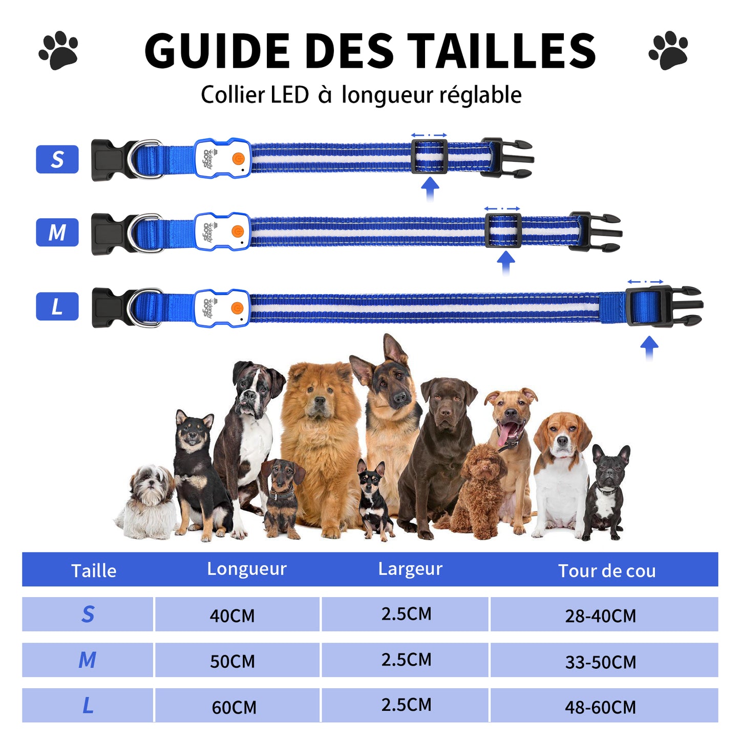 Collier lumineux rechargeable Dandy Dogs "GLOW"