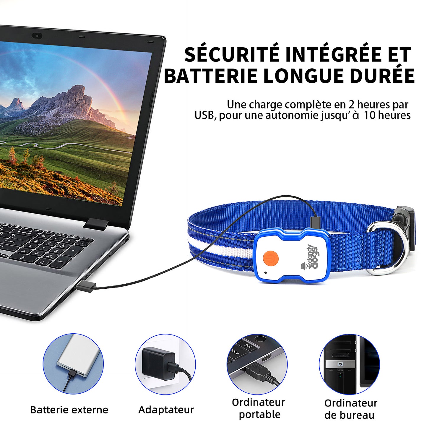 Collier lumineux rechargeable Dandy Dogs "GLOW"