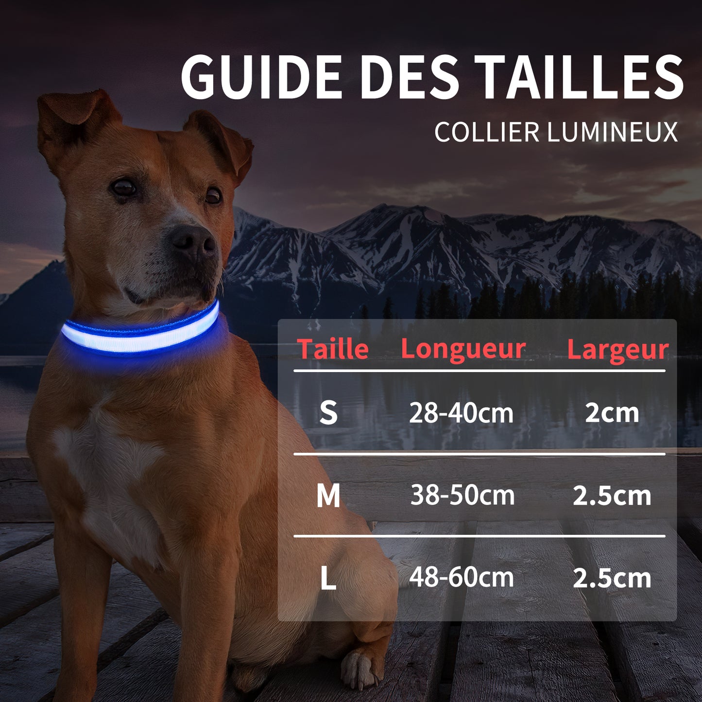 Collier lumineux rechargeable Dandy Dogs "Classic LED"