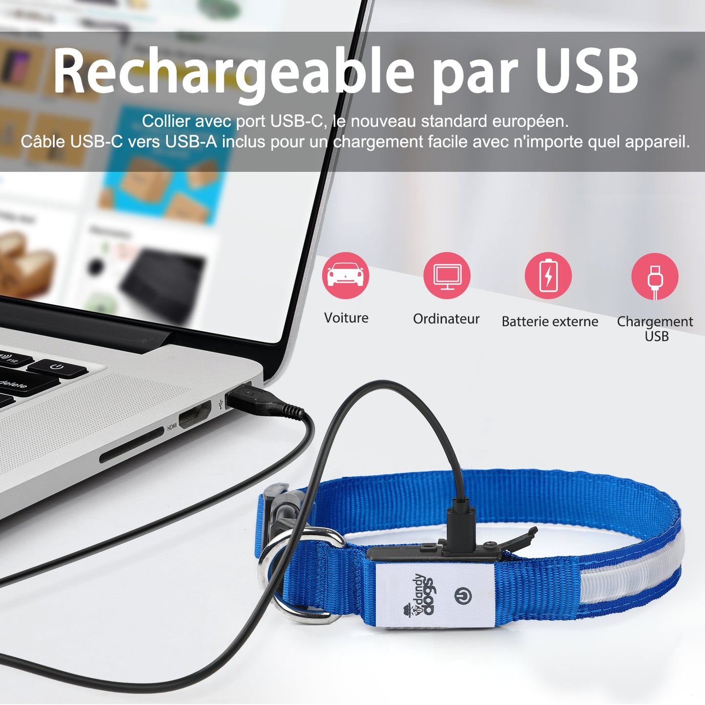 Collier lumineux rechargeable Dandy Dogs "Classic LED"