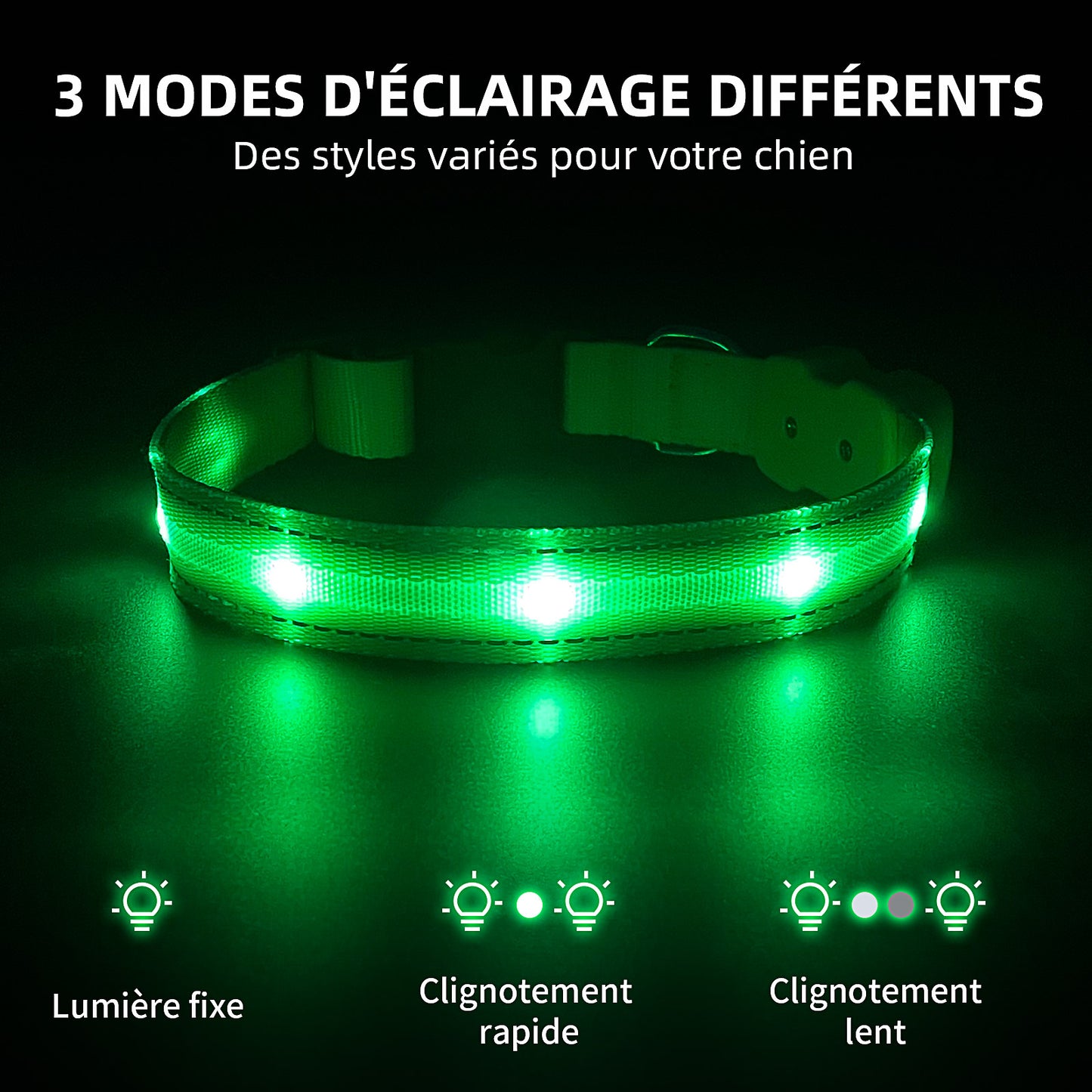 Collier lumineux rechargeable Dandy Dogs "GLOW"