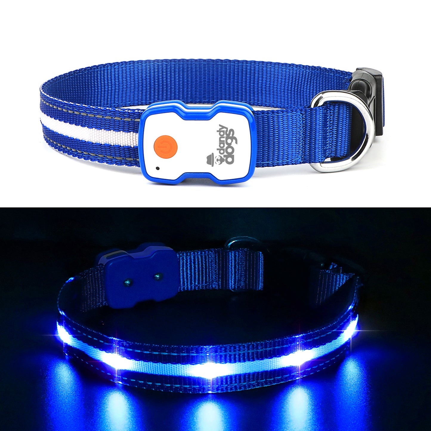 Collier lumineux rechargeable Dandy Dogs "GLOW"