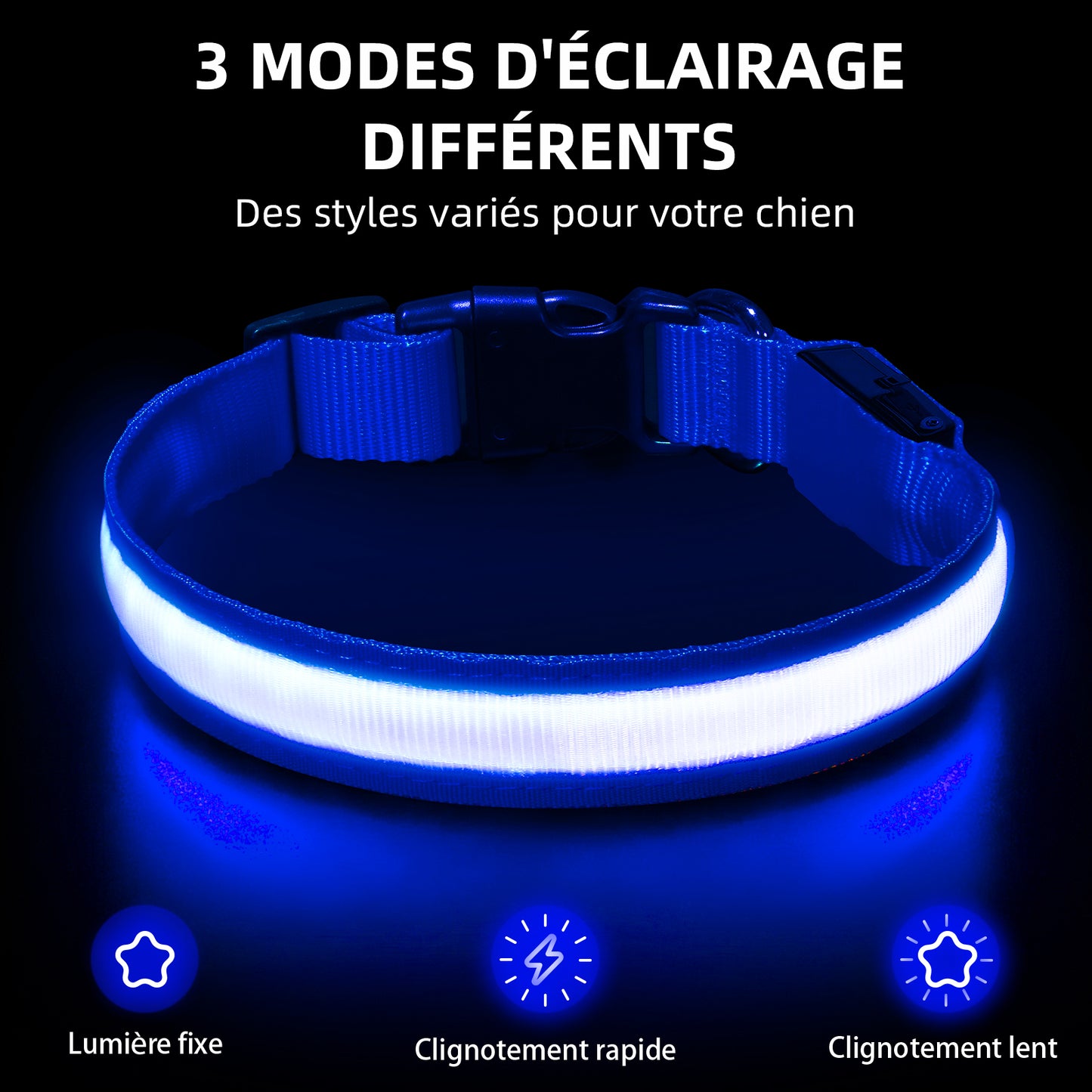 Collier lumineux rechargeable Dandy Dogs "Classic LED"